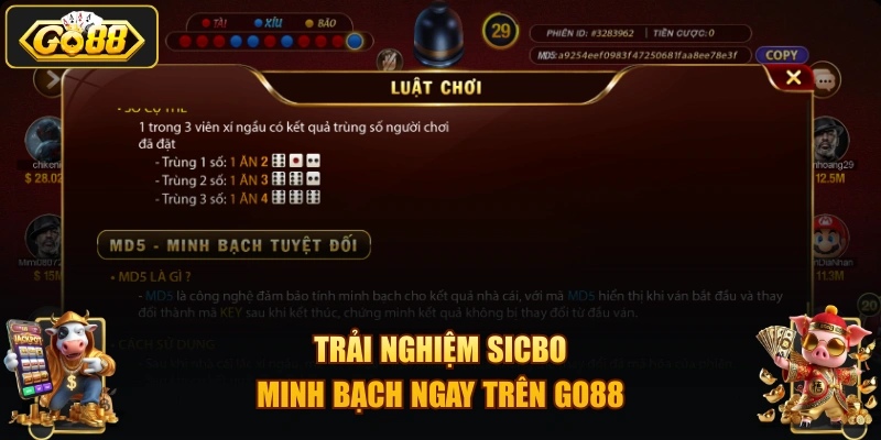 Trải nghiệm Sicbo minh bạch ngay trên GO88